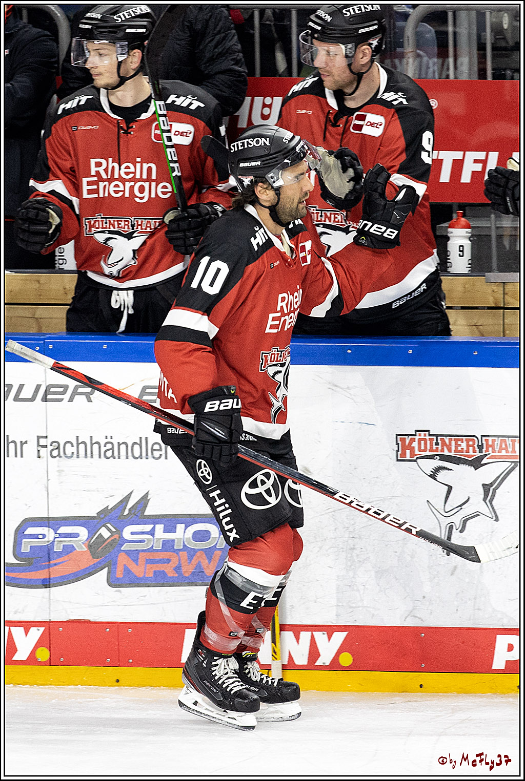 PENNY DEL;  Koelner Haie - Nuernberg Ice Tiger; Koeln, 21.09.2021
